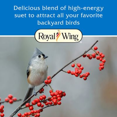 Image showing  Bird Lovers' Suet Cakes