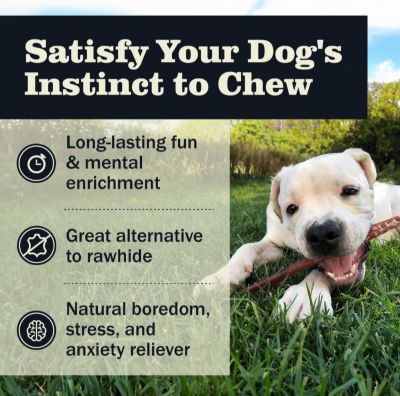 Image showing  Braided Bully Stick, 9 in.