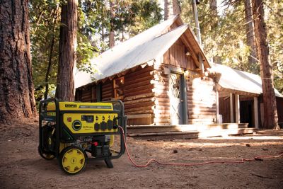Image showing 8 th Champion Power Equipment 10,000/8,500-Watt Dual-Fuel Portable Generator, Electric Start, CO Shield