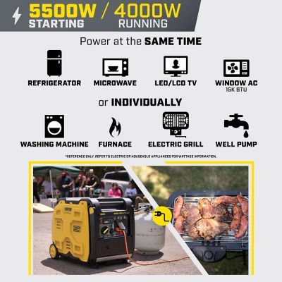 Image showing  5,500/4,000 W Dual-Fuel Inverter Generator, Electric Start, RV-Ready, Quiet Technology and CO Shield
