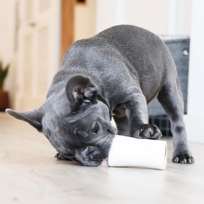 Image showing  Large Peanut Butter Filled Bone Dog Chew Treat, 8 oz.