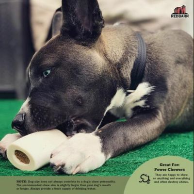 Image showing 5 th Redbarn Cheese and Bacon Filled Bone Dog Chew Treat, 1 ct.