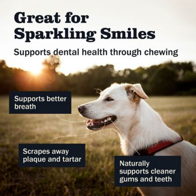 Image showing  Bully Barbells Dog Chew