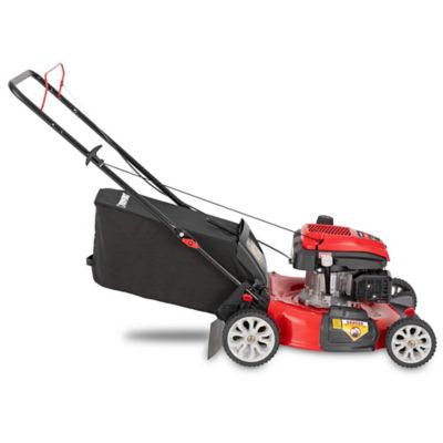 Image showing  TB120 163cc TB Engine Gas Walk Mower