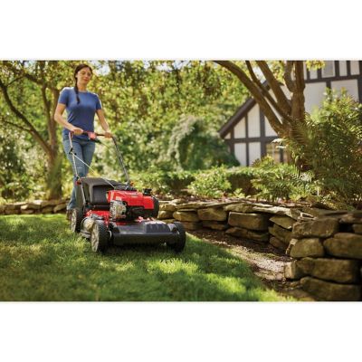 Image showing  TB230 163cc TB Engine FWD Gas Walk Mower