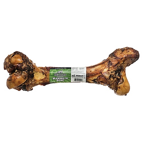 Redbarn 12 in. Mammoth Beef Bone Dog Chew Treat, 1 ct.