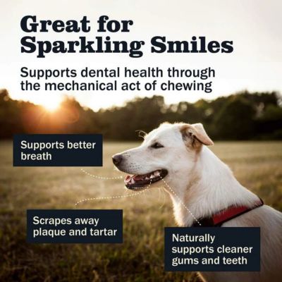 Image showing  Braided Bully Stick Dog Treat, 5 in.