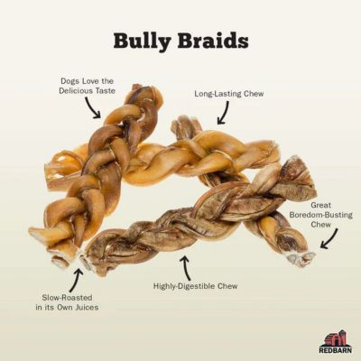 Image showing  Braided Bully Stick Dog Treat, 5 in.