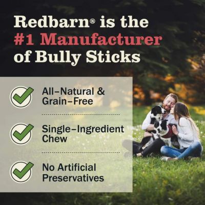 Image showing 5 th Redbarn Braided Bully Stick Dog Treat, 12 in.