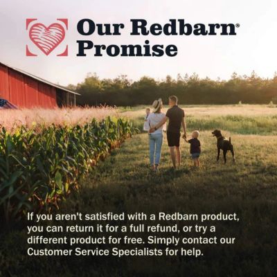Image showing 6 th Redbarn Braided Bully Stick Dog Treat, 12 in.