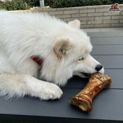 Image showing  Meaty Bone Dog Chew, Large