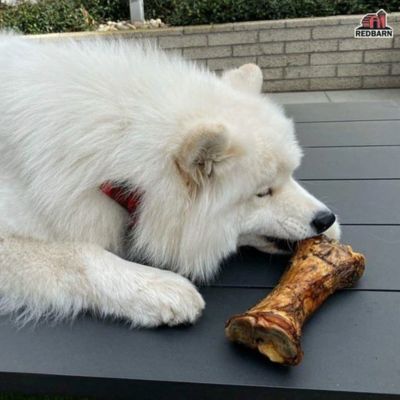 Image showing  9 in. Meaty Beef Bone Dog Chew Treat, 1 ct.