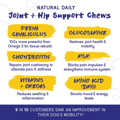 Image showing  Joint Support Supplement for Dogs Recommended for Hip Dysplasia, Arthritis & Joint Disease USA Tested 60 Chews