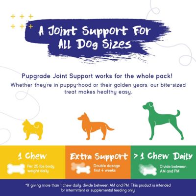 Image showing  Joint Support Supplement for Dogs Recommended for Hip Dysplasia, Arthritis & Joint Disease USA Tested 60 Chews