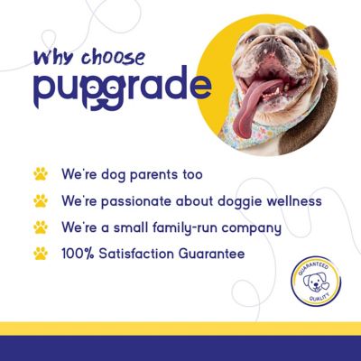 Image showing 5 th PupGrade Joint Support Supplement for Dogs Recommended for Hip Dysplasia, Arthritis & Joint Disease USA Tested 60 Chews