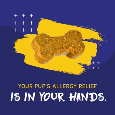 Image showing  Itch & Allergy Chew Supplement for Dogs Immune Support & Seasonal Allergies Helps with Anti Itch 60 Soft Chews