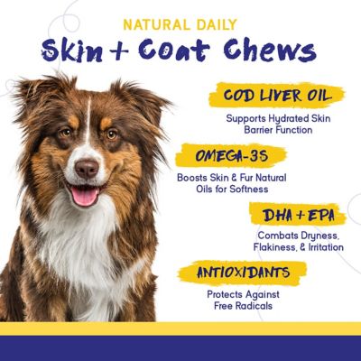 Image showing  Skin & Coat Chews for Dogs Omega 3 Coat, Shed Care, & Allergy Defense Meat Flavored 60 Soft Chews