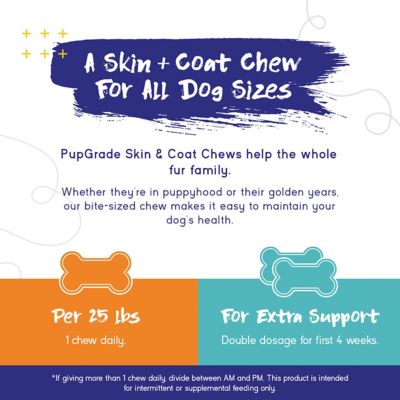Image showing  Skin & Coat Chews for Dogs Omega 3 Coat, Shed Care, & Allergy Defense Meat Flavored 60 Soft Chews