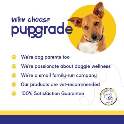 Image showing  Skin & Coat Chews for Dogs Omega 3 Coat, Shed Care, & Allergy Defense Meat Flavored 60 Soft Chews