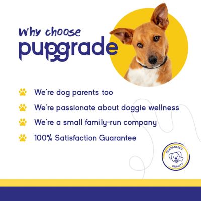 Image showing 5 th PupGrade Skin & Coat Omega-3 Fish Oil Soft Chew Supplement for Dogs, 60 Soft Chews