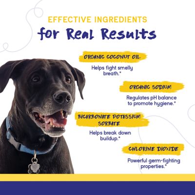 Image showing  Dental Care Water Additive Solution Advanced Oral Care for Dogs Fight Against Bad Breath, Plaque, and Tartar