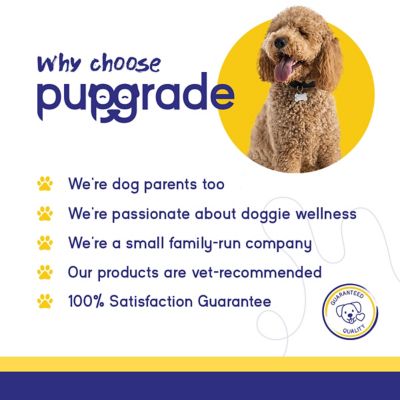 Image showing 5 th PupGrade Calming Support Supplement for Dogs, 60 Soft Chews