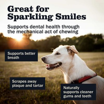 Image showing 6 th Redbarn 7 in. Bully Stick Dog Chew Treats, 6 ct.