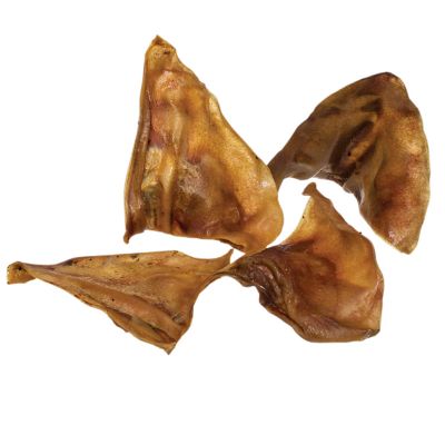 Image showing  Pig Ear 10ct Dog Chew