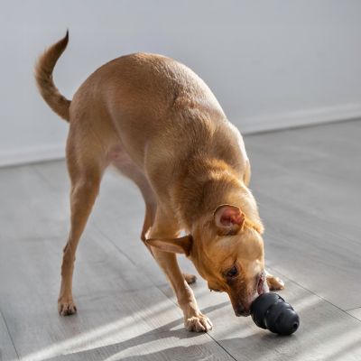 Image showing  Extreme Dog Chew Toy for Small Breeds
