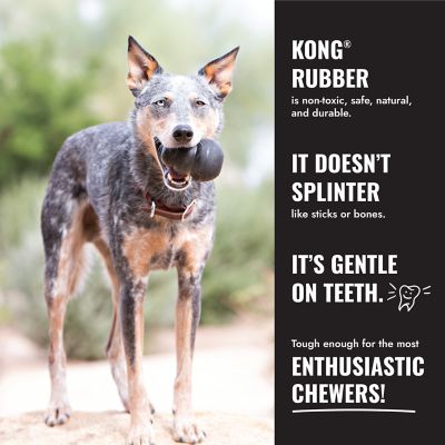 Image showing 8 th KONG Extreme Dog Chew Toy for Small Breeds