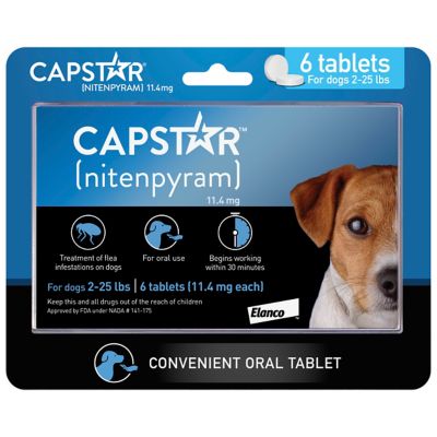 capstar flea medicine for cats