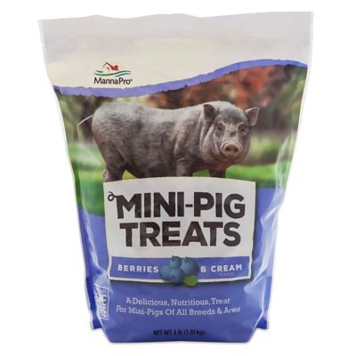 Manna Pro Mini Pig Berry and Cream Treats