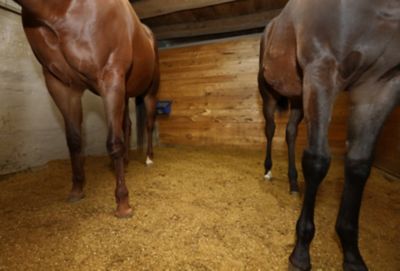 Image showing 5 th Greenway Animal Nutrition Crumbled Pellet Straw Bedding 40 Liter