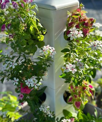Image showing  6-Tier 24 Plant Hydroponic Garden Tower Will Grow 24 Vegetables