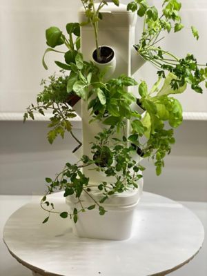 EXO Mini 3-Tier Tabletop Hydroponic Garden Tower Will Grow 12 Plants