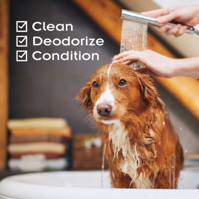 Image showing  Pro Flea & Tick Dog Shampoo, 18 oz.