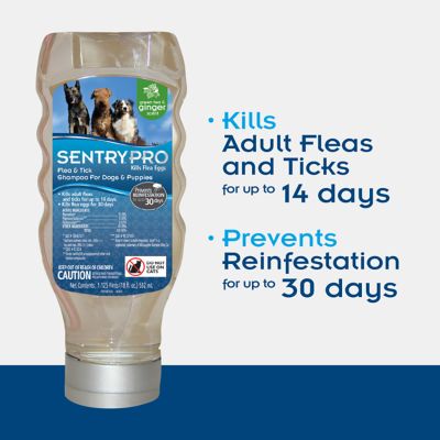 Image showing 5 th Sentry Pro Flea & Tick Dog Shampoo, 18 oz.