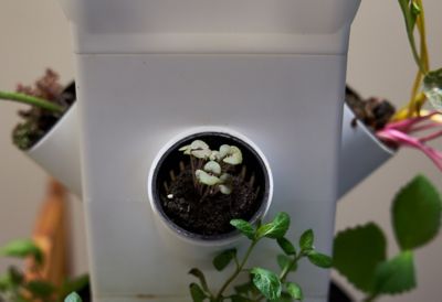 Image showing  Grow Module Exotower Expansion 4 Plant