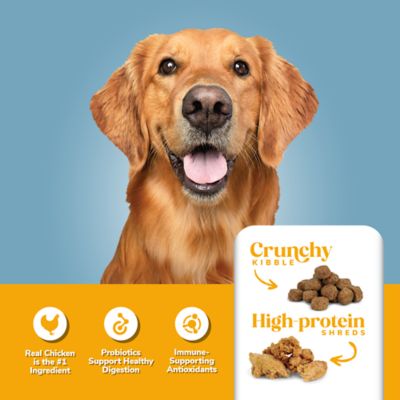 Image showing  Adult Chicken and Rice Formula Dry Dog Food
