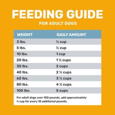 Image showing  Adult Chicken and Rice Formula Dry Dog Food