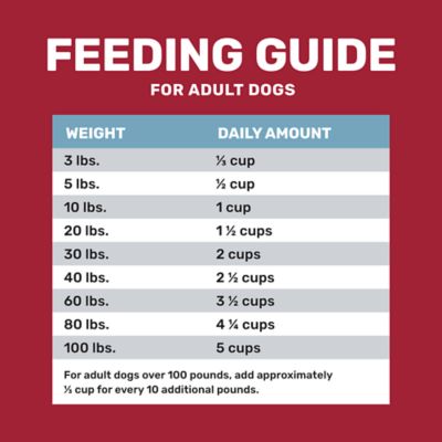 Image showing  Adult Beef and Rice Formula Dry Dog Food
