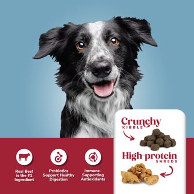 Image showing  Adult Beef and Rice Formula Dry Dog Food
