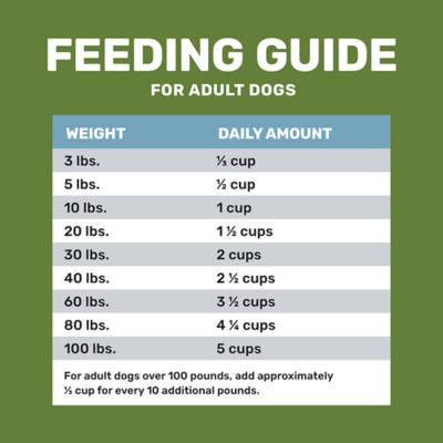 Image showing  Adult Lamb and Rice Formula Dry Dog Food