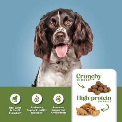 Image showing  Adult Lamb and Rice Formula Dry Dog Food