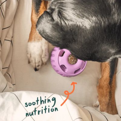 Image showing  Calming Refill Pops Large