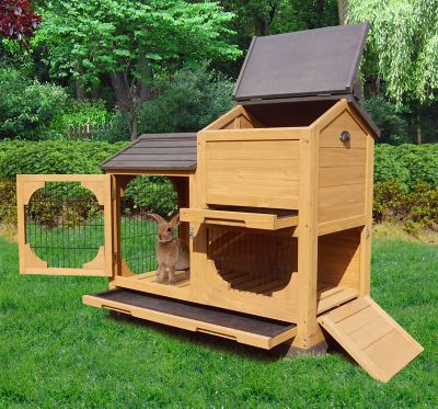 Image showing  Indoor and Outdoor Bunny Lounge