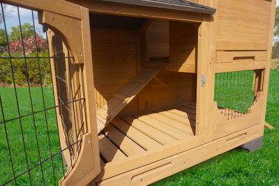 Image showing  Indoor and Outdoor Bunny Lounge