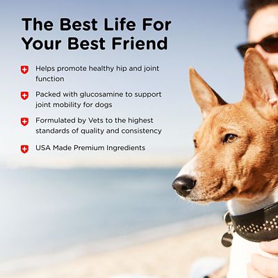 Image showing  Regular Strength Peanut Butter Biscuit Hip and Joint Supplement for Small and Medium Dogs, 19.5 oz.