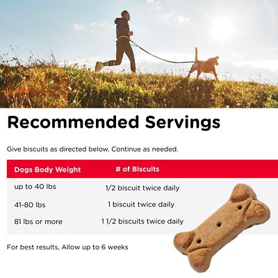 Image showing  Regular Strength Peanut Butter Biscuit Hip and Joint Supplement for Small and Medium Dogs, 19.5 oz.