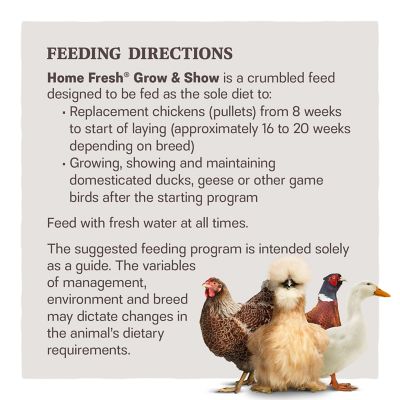 Image showing  Home Fresh Grow & Show Crumbled Poultry Feed, 50 lb. Bag